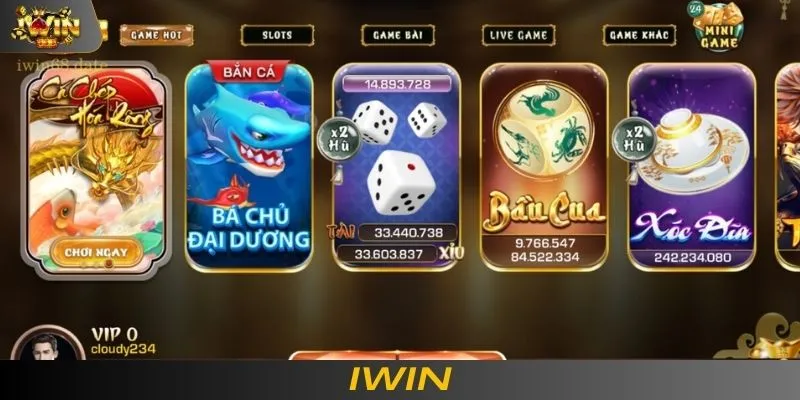 Ảnh 4: Lưu ý khi đăng nhập IWIN